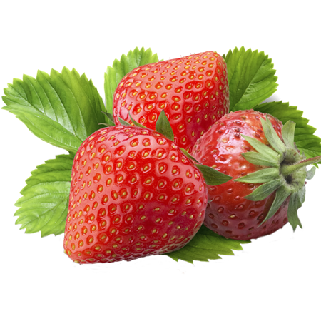 BEŞGÖZ%20SOĞUK%20HAVA